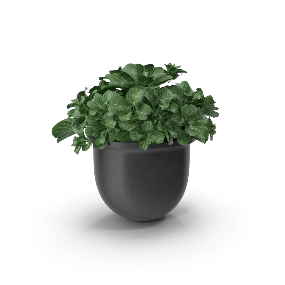 Vaso de Cerâmica Decorativo